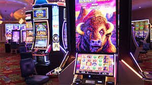 Pemain vcgamers melihat statistik permainan Mega Wheel di dasbor akun mereka